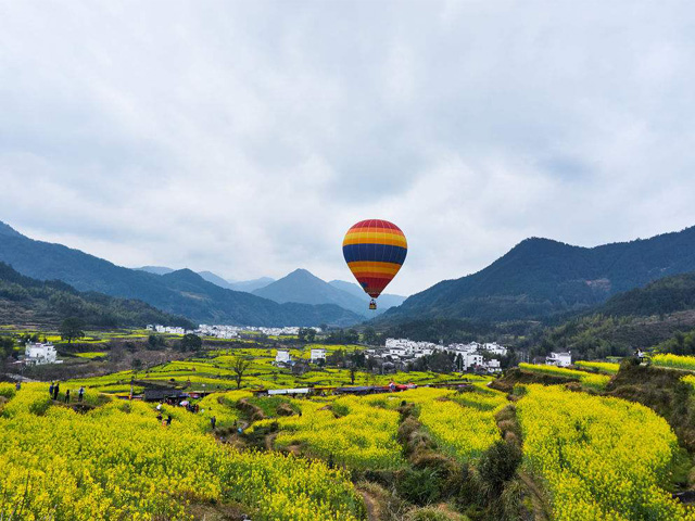 婺源油菜花