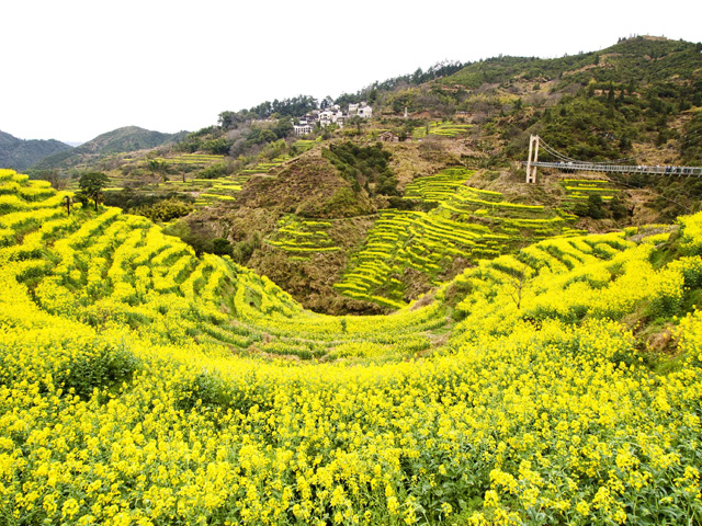 婺源旅游攻略