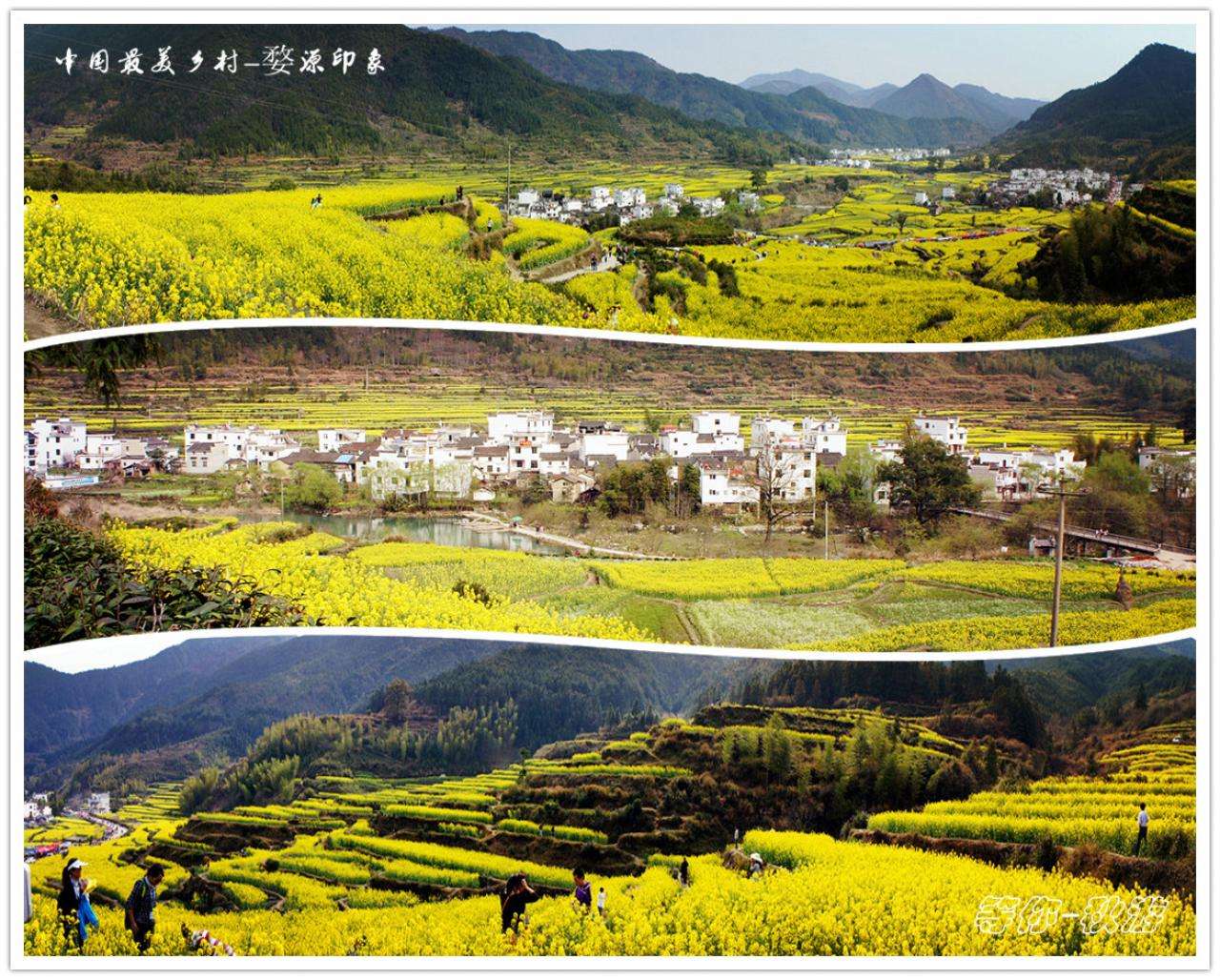 婺源被称为“中国最美的乡村”……