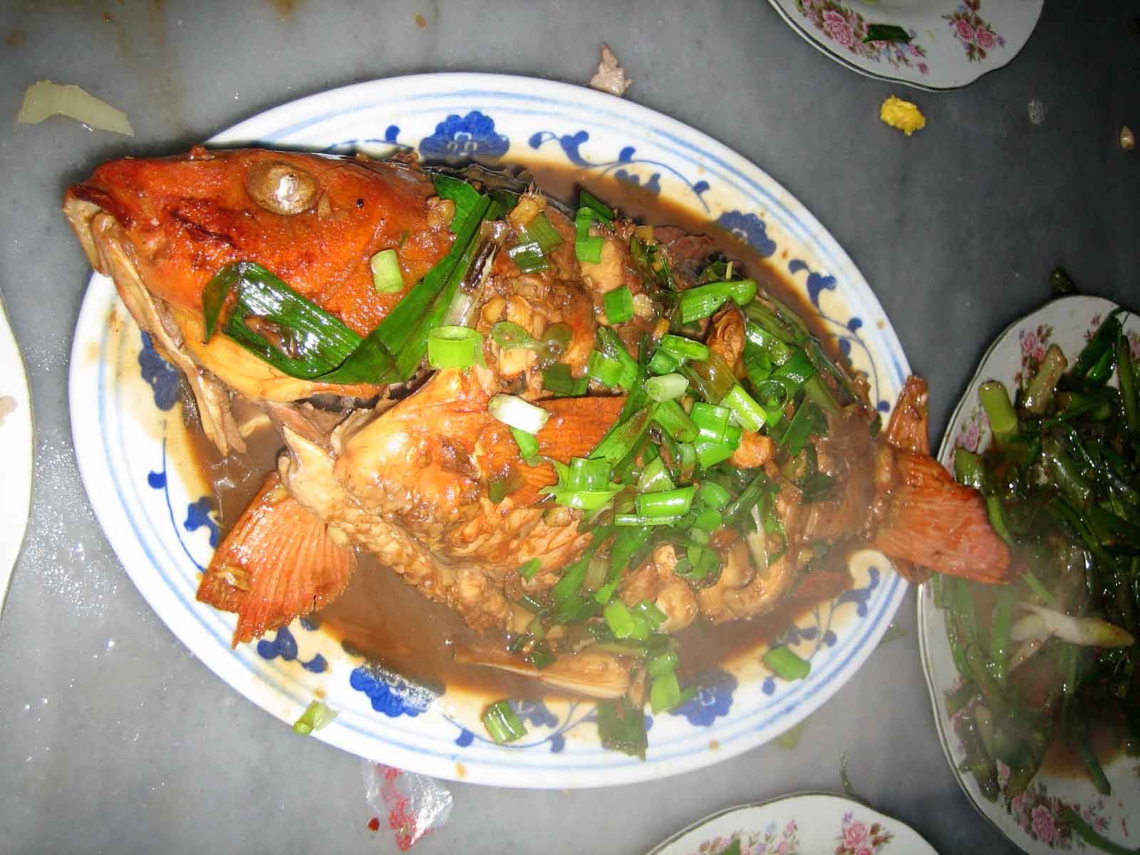 婺源红鲤鱼