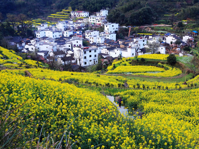 婺源旅游