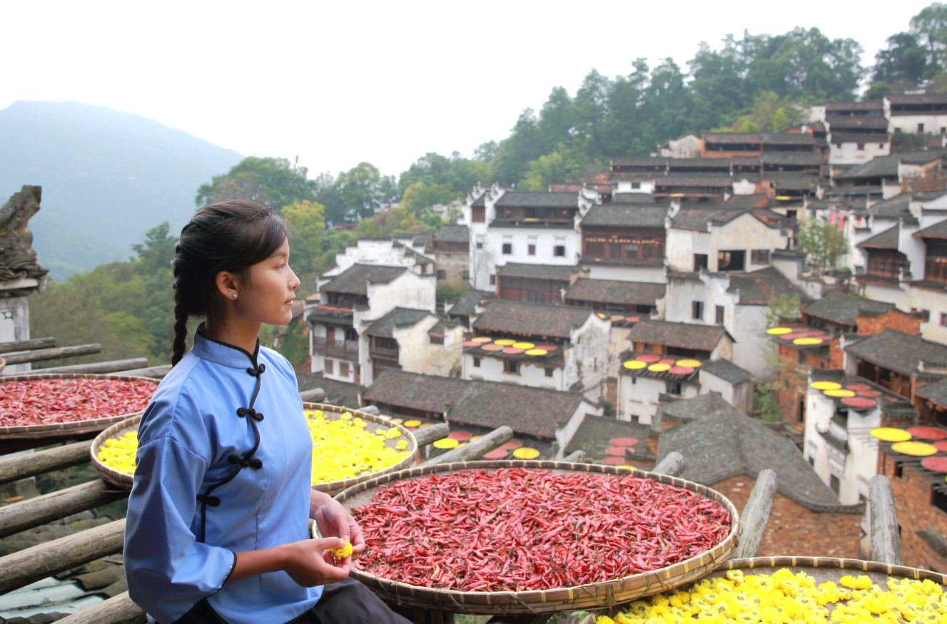 婺源油菜花