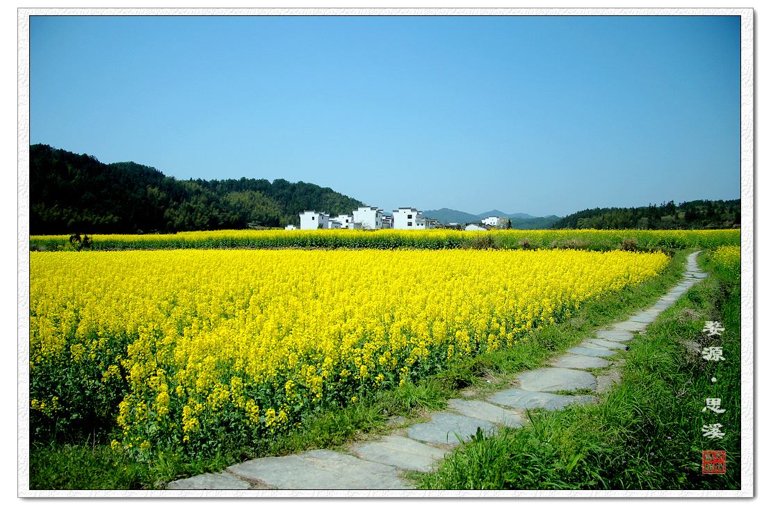 3月份去婺源怎么样