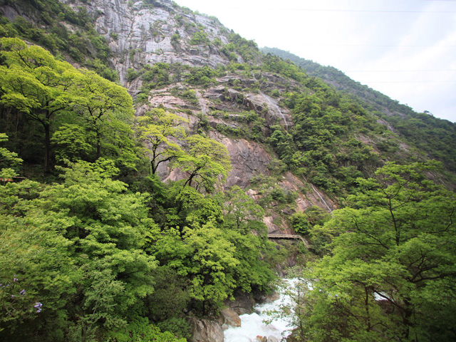 婺源大鄣山