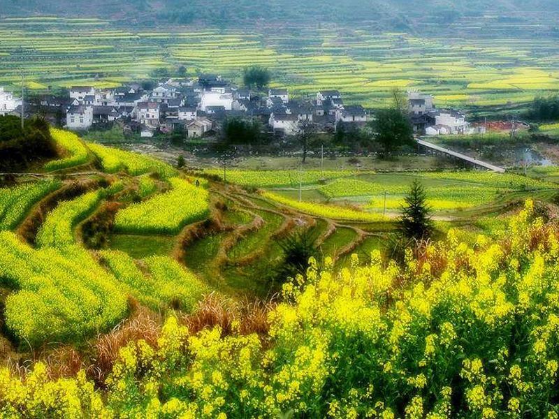 中国最美的乡村婺源