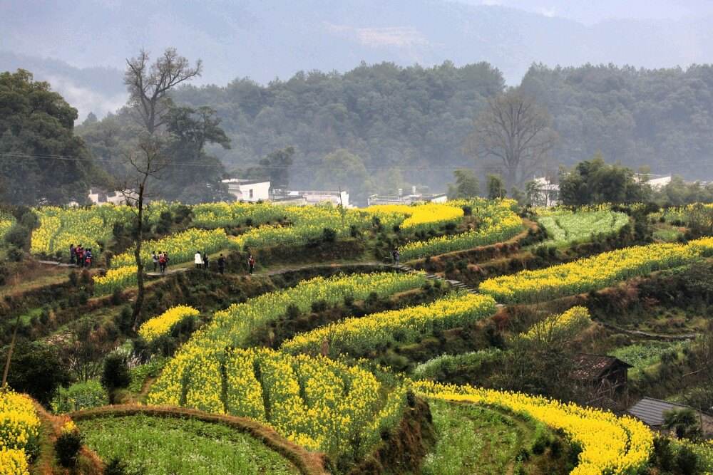 婺源旅游景点