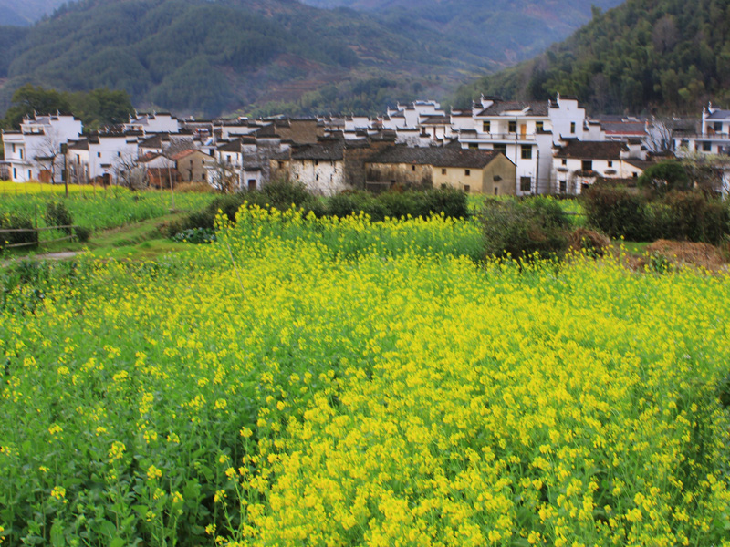 婺源