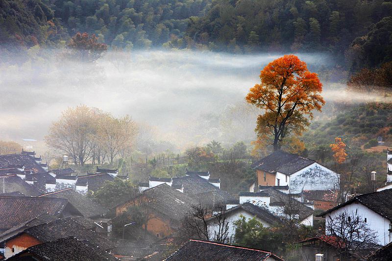 婺源景色