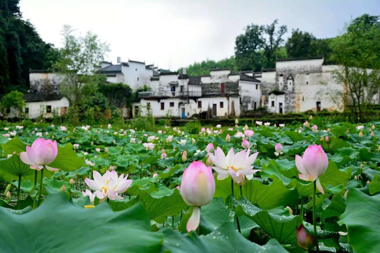 中国最美的乡村婺源