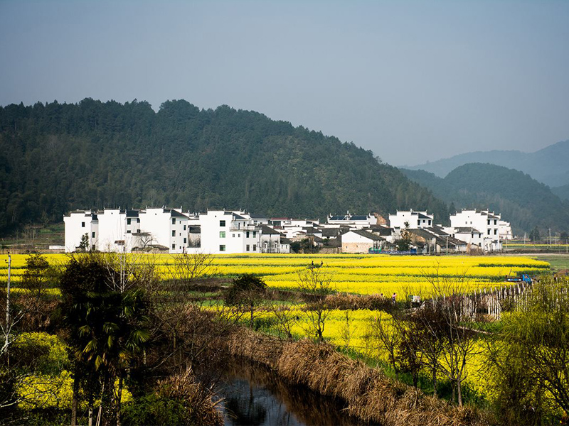 婺源延村