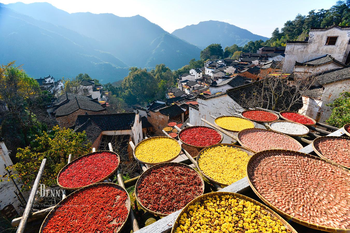都说婺源是中国最美乡村，你见过它最美的一面吗？
