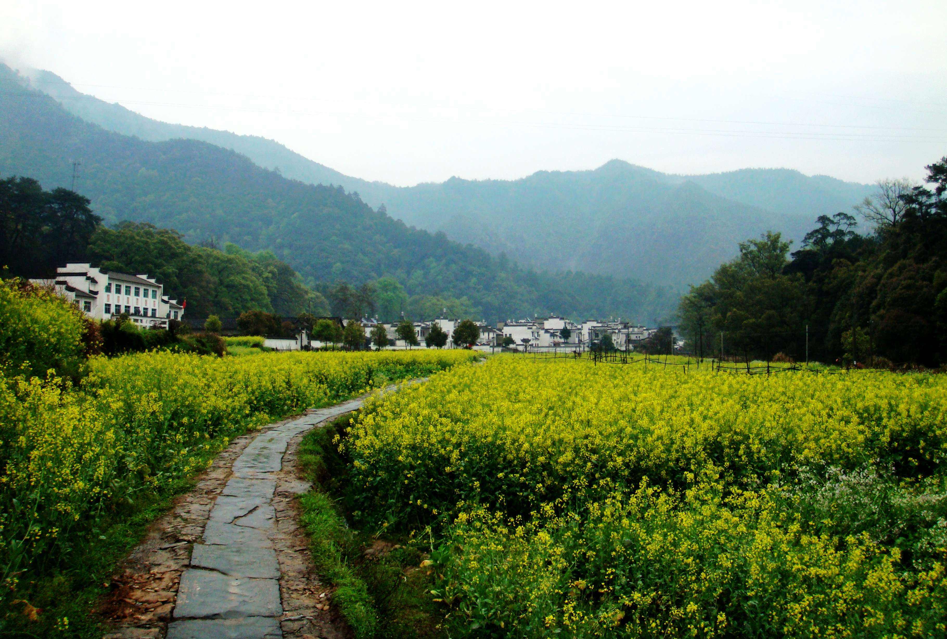婺源旅游