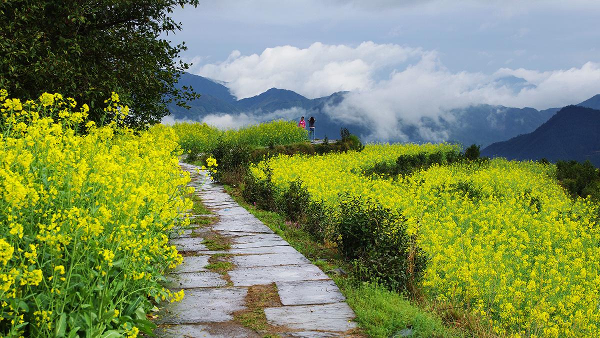 婺源旅游