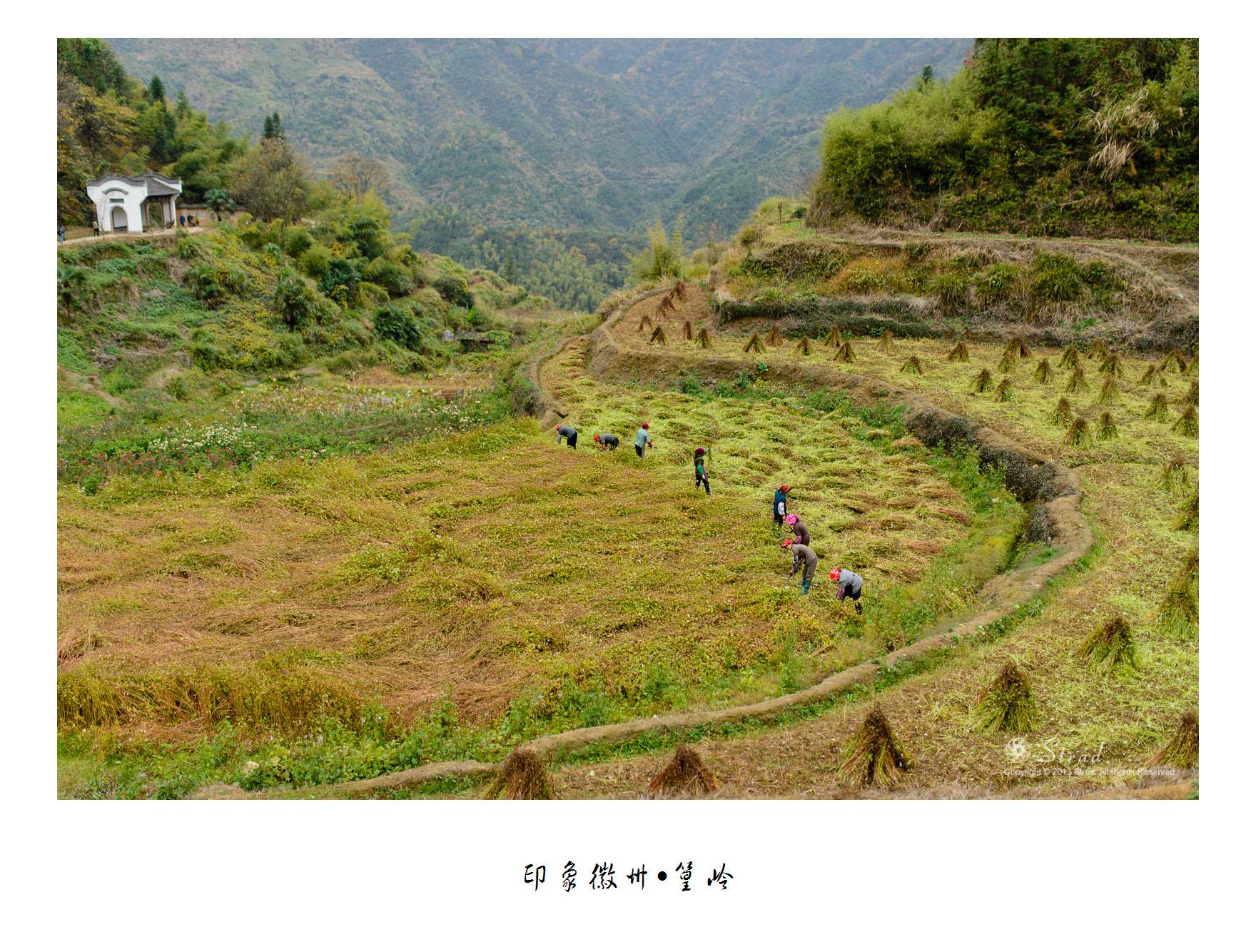 婺源旅游